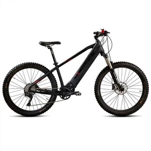 Bicicleta de muntanya elèctrica 4.0 Fat Tire Bicicleta elèctrica Platja