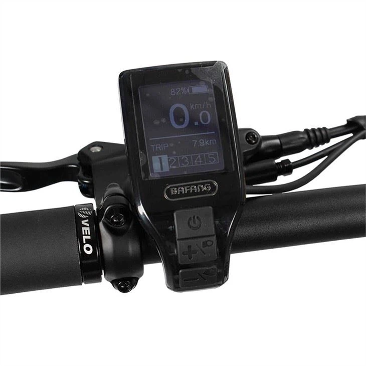 Customized Electric Mountain Bike