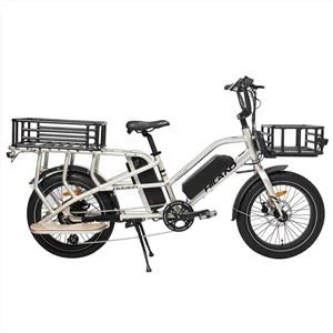 Bicicleta E Cargo Adolph de 20 polzades