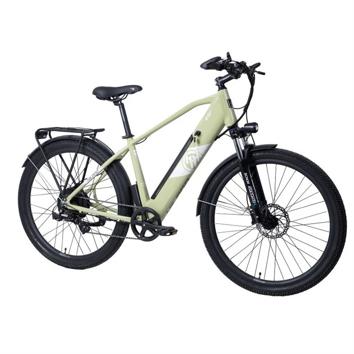 Rear Hub Motor Lithium Battery Electric City Bike