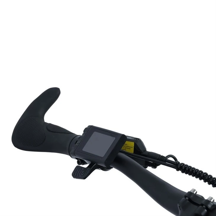 Rear Hub Motor Lithium Battery Electric City Bike