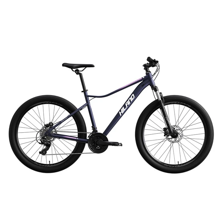 Personalització de la bicicleta de muntanya Jump de 29 polzades d'alta qualitat