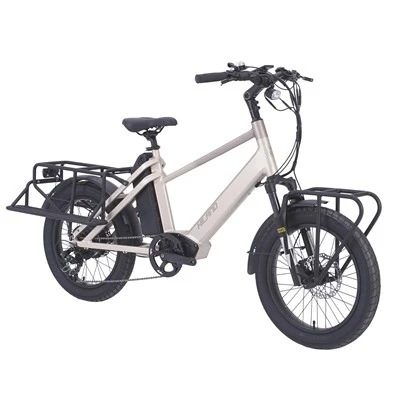 Bicicleta elèctrica de càrrega d'aliatge de 20 polzades